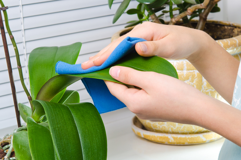 regular cleaning window cleaning