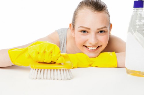 Professional East Ham carpet cleaners working on a residential carpet