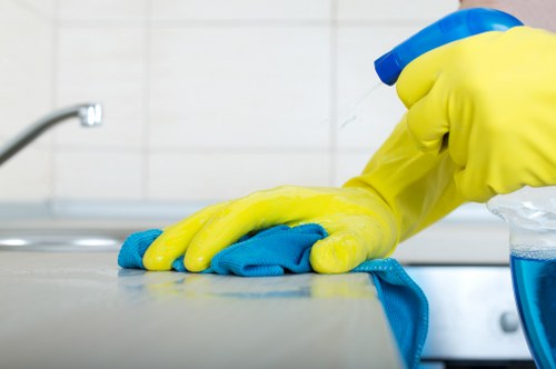 Expert upholstery care improving sofa freshness and hygiene
