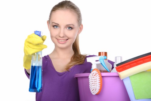 Accessible website layout with clear headings for carpet cleaning information